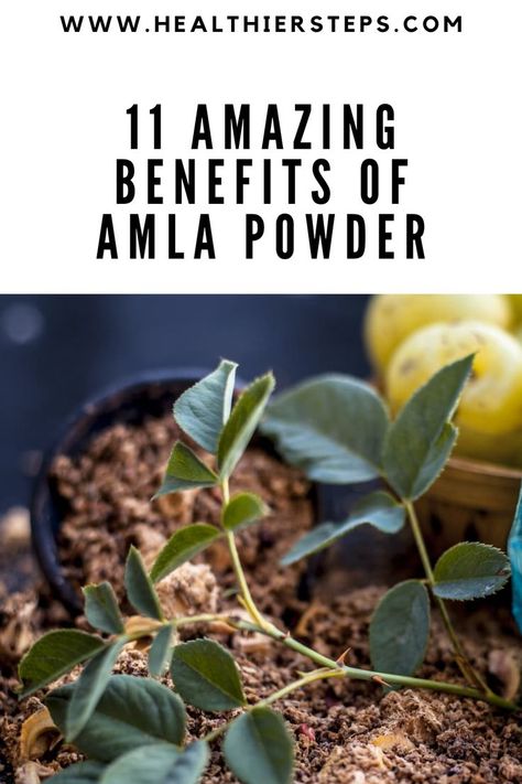 Alma Benefits, Alma Powder Benefits, Amla Berry Benefits, Alma Powder, Gooseberry Benefits, Amla For Hair Growth, Alma Powder Hair Growth, Amla Powder Benefits, Amla Powder For Hair Growth