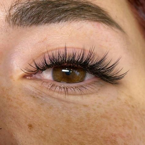 Pretty Lash Extensions, Natural Fake Eyelashes, Evening Eye Makeup, Lashes Fake Eyelashes, Eyelash Extensions Styles, Perfect Eyelashes, Pretty Lashes, Natural Eyelash Extensions, Eyeliner Tattoo