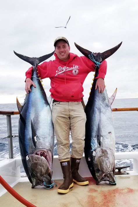 Tuna caught by Conrad Lakomy off the coast of San Diego, CA. In addition of being a great fisherman, he is also an accomplished cook. A quality product cannot be made from stale fish; heavy smoking may disguise the bad quality to some extent, but only for a day or two.Fish must be of good quality, plump, firm and of a pleasant smell. Fresh fish is the best material, however, frozen fish is acceptable. Pesca In Mare, Tuna Fishing, Giant Fish, Big Game Fishing, Fishing Waders, Yellowfin Tuna, Monster Fishing, Salt Water Fishing, Offshore Fishing