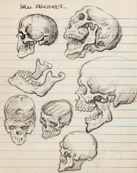 Anatomy Sketchbook, Sketch Anatomy, Skulls And Bones, Human Anatomy Art, Frank Frazetta, Anatomy Sketches, Bristol Board, Arte Sketchbook, Arte Inspo