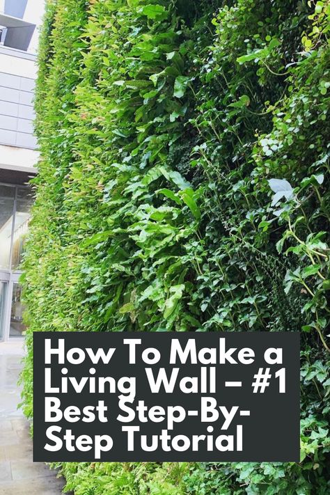 Transform your space with this #1 Best Step-By-Step Tutorial on creating a stunning living wall. Discover how to bring life and nature indoors using five keywords: living wall, tutorial, step-by-step, make, and space. This comprehensive guide provides descriptive details, helping you design and install a breathtaking vertical garden that will become the focal point of any room. IG Photo by: the_gardening_dentist Living Garden Walls Outdoor, Garden Plant Wall Ideas, How To Build A Living Wall, Diy Living Wall Outdoor, How To Make A Plant Wall, How To Make A Green Wall, Living Walls Indoor, How To Make A Living Wall, Indoor Green Wall Design