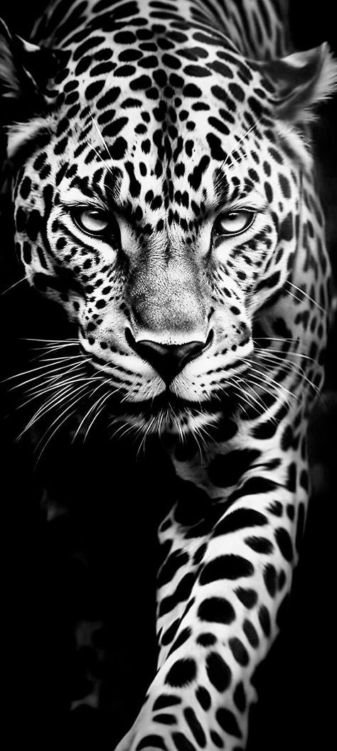 Leopard Black And White, Tiger Snow, Eye Portrait, Jaguar Wallpaper, Jaguar Tattoo, Big Cats Photography, Regard Animal, Jaguar Leopard, Leopard Painting