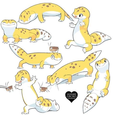 Leopard Gecko Illustration, Gecko Drawing Reference, Cute Gecko Drawing, Leopard Gecko Drawing, Cute Lizard Drawing, Leopard Gecko Art, Gecko Illustration, Gecko Drawing, Cute Salamander