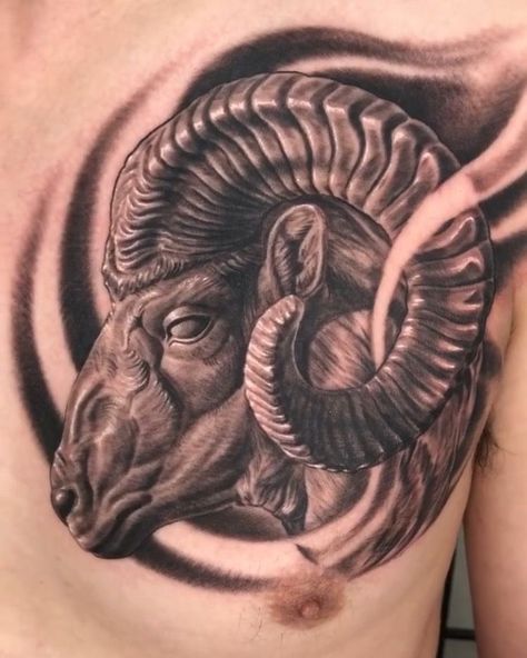 Aries Realistic Tattoo, Ram Head Tattoo Design, Ram Tattoo For Men, Ram Head Tattoo, Aries Tattoo For Men, Goat Tattoo Design, Ram Tattoo Design, Tattoo Ram, Aries Ram Tattoo