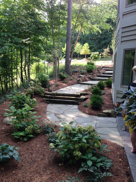 Pine Needles Pine Landscaping Ideas, Pine Needle Landscaping Ideas, Pine Straw Backyard, Woodchip Landscaping Ideas, Pine Mulch Landscaping, Landscaping With Pine Needles, Pine Straw Landscaping Ideas, East Coast Landscaping Ideas, Pine Needle Mulch Landscaping