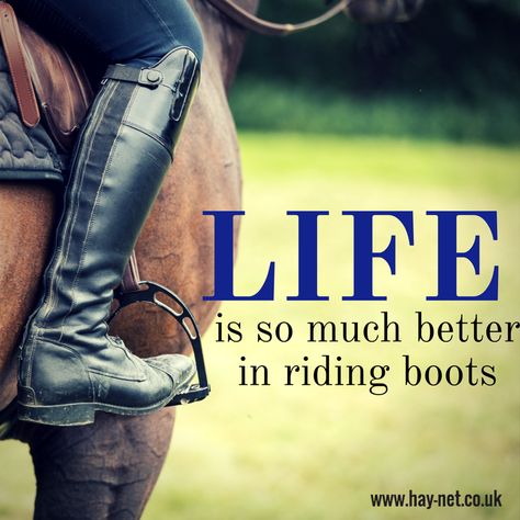 Equine Quotes, Horse Quote, Inspirational Horse Quotes, Horse Riding Quotes, Equestrian Quotes, Cowgirl Quotes, Riding Quotes, Equestrian Helmet, Horse Inspiration