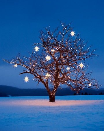 Christmas Star Decorations, 카드 디자인, Ready For Christmas, Outdoor Christmas Lights, Star Decorations, Kwanzaa, Noel Christmas, Merry Little Christmas, Christmas Star