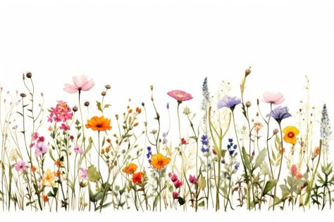 Flower grassland outdoors nature.  | premium image by rawpixel.com Wildflower Widget, Multicolour Wedding, Wild Flowers Painting, Wildflower Mural, Decoupage Paper Printable, Arabian Wedding, Bird Painting Acrylic, Wildflower Drawing, Watercolor Flower Background