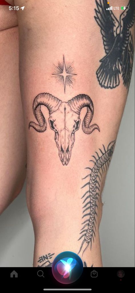 Ram Chest Tattoo Female, Ram Skull Back Tattoo, Ram Skeleton Tattoo, Goats Head Tattoo, Goat Tattoos For Women, Ramskull Tattoo Design, Black Ram Tattoo, Ram Tattoo Aries Women, Capricorn Tattoo Designs For Women