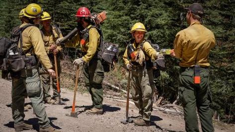 Careers | US Forest Service Americorps Nccc, Internships For College Students, Medical Safety, Volunteer Management, Career Fields, Us Forest Service, Summer Internship, Wildland Firefighter, Peace Corps