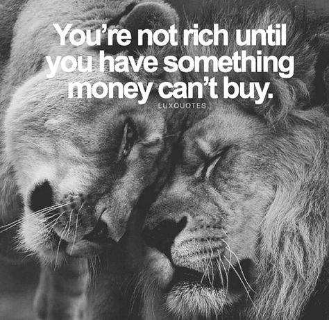 You aren't rich until you have something money can't buy Lion King And Queen, Money Cant Buy Love, Money Millionaire, Lion Quotes, Money Cant Buy, Inspirational Speaker, King And Queen, Inspirational Thoughts, Inspirational People