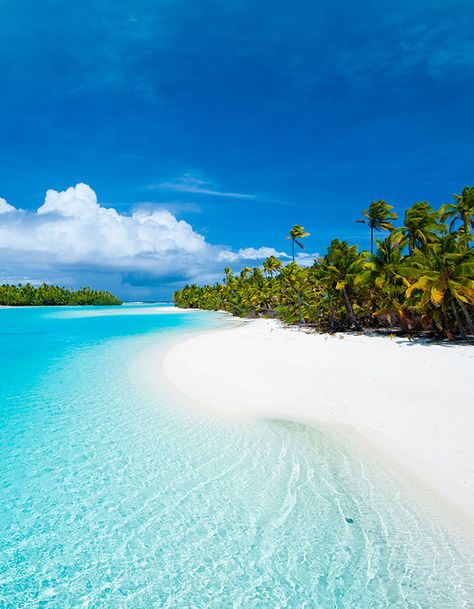 Aitutaki, Cook Islands Clear Blue Water, Tropical Beaches, Blog Instagram, Crystal Blue, Cook Islands, Alam Yang Indah, Bora Bora, In The Ocean, Tropical Islands