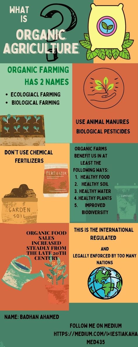 This is internationally Regulated and legally Enforced by too many nations. Organic food has sales increased steadily since the late 20th century. Organic farming has 2 names Ecological and Biological farming. This is beneficial for us. Every country has to be legally Enforced Organic agriculture is forced. National Agriculture Education Day, Pamphlet On Organic Farming, Agriculture Farming Ideas, Poster About Agriculture, Agriculture Projects For School, Organic Farming Poster, Organic Farming Project, Agribusiness Ideas, Farming Ideas Agriculture