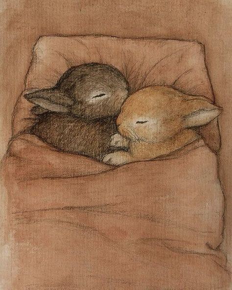 Sleeping Bunnies Sleeping Bunny, Bunny Drawing, Easter Images, Bunny Art, Bird Drawings, Baby Bunnies, Beatrix Potter, A Drawing, Rabbits