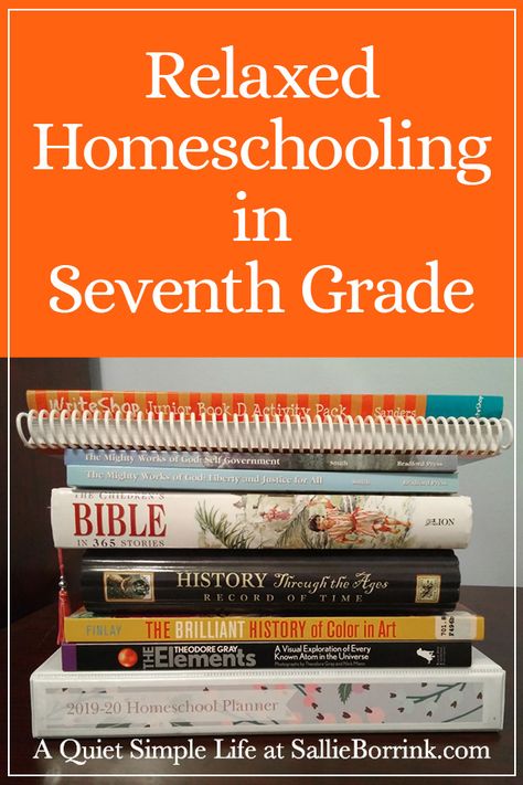 7th Grade Homeschool Schedule, Homeschooling 7th Grade, 7th Grade Homeschool Ideas, Homeschool For Middle Schoolers, Homeschool 7th Grade, 7th Grade Homeschool Curriculum, Homeschooling Middle School, Homeschool Middle School Curriculum, Online Homeschool Curriculum