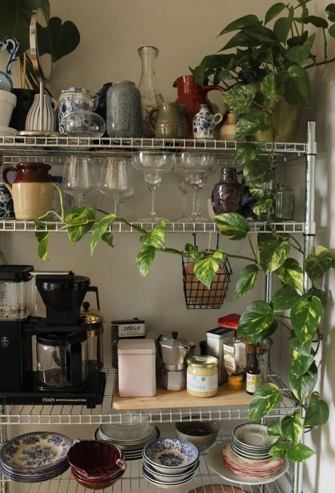 Save Space and Store More - 65 Genius Kitchen Organization Hacks | Hike n Dip Kitchen Storage Aesthetic, Kitchen Decor Aesthetic, Kitchen Organization Hacks, Aesthetic Plants, Messy Kitchen, Happy Kitchen, Kitchen Hacks Organization, Apartment Aesthetic, Apartment Decor Inspiration