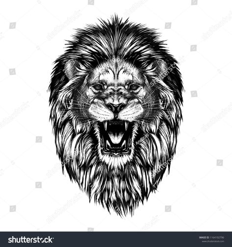 Hand drawn sketch of lion head in black isolated on white background.sketch#lion#Hand#drawn Sketch Of Lion, Lion And Lioness Tattoo, Roaring Lion Tattoo, Tattoo Care Instructions, Realistic Temporary Tattoos, Lion Head Tattoos, Fierce Animals, Lion Drawing, Lion Tattoo Design