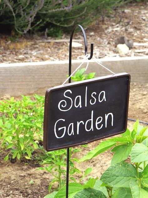 Salsa Garden, Garden Salsa, Backyard Crafts, Smart School House, Smart School, Chinese Garden, School Garden, Tomato Garden, Family Garden