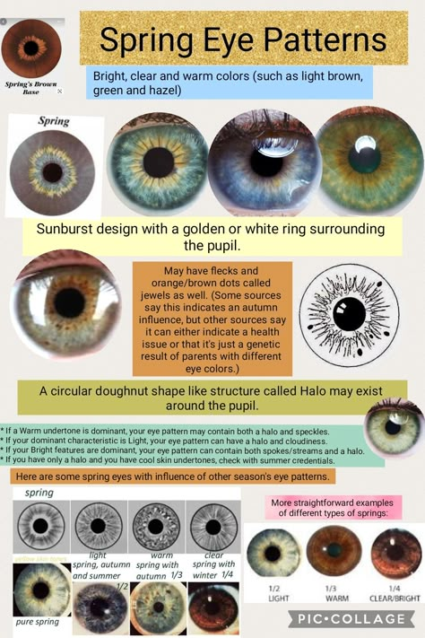 Color Seasons Eyes, Bright Spring Seasonal Color Analysis, Seasonal Eye Patterns, Summer Eye Patterns, Color Season Eye Pattern, Spring Eye Pattern Color Analysis, Bright Winter Eyes, Seasonal Color Analysis Eyes, Light Spring Eyes