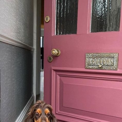 Little Greene on Instagram: "A welcoming entrance from @georgieroseinteriordesign 🐶 ⁠ ⁠ Adventurer provides a sophisticated finish on this beautiful front door. ⁠ Colour: Adventurer" Pink Front Door Ideas, Front Door Colors Pink, Mauve Front Door, Pink Front Doors, Dark Pink Front Door, Dusky Pink Front Door, Raspberry Front Door, Front Door Colours, Hot Pink Front Door