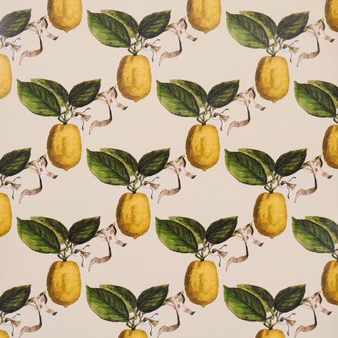 LE CITRON Schumacher Wallpaper, The Joy Of Painting, Patterns Fabric, Painting Services, Cole And Son, The Grove, Wallpaper Design, Fabric Paper, Painted Doors