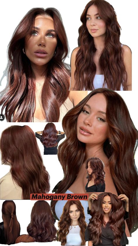 Mahogany Brown Hair, Hair Chart, Mahogany Hair, Mahogany Brown, Copper Hair, New Hair, Brown Hair, Hair Styles, Hair