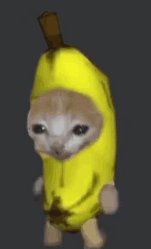 Banana Cat GIF – Banana Cat – discover and share GIFs Banana Cat Wallpaper, Banana Meme, Banana Costume, Cat Animated, Banana Cat, Cat Crying, Cat Cartoon, Cat Walk, Cat Wallpaper