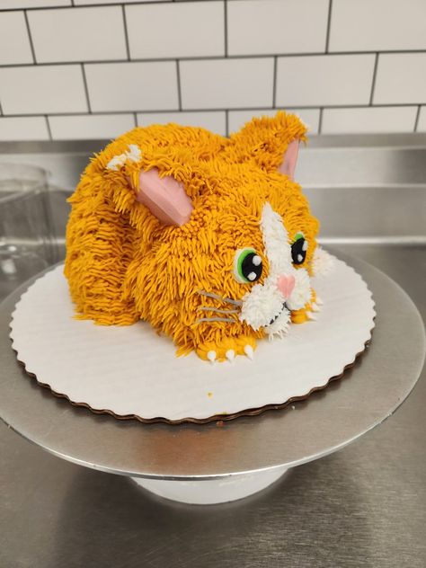 Ginger Cat Cake, Orange Cat Cake, Orange Persian Cat, Cat Cakes, Teddy Cakes, Friends Birthday Cake, 9th Birthday Cake, Birthday Cake For Cat, Orange And White Cat