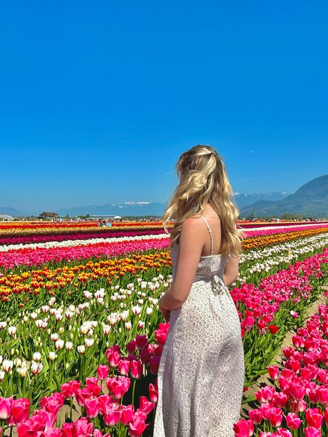 blonde girl in field of flowers Floral Girl Aesthetic, Flower Field Pictures, Soft Spring Aesthetic, Aesthetic Flower Field, Spring Picture Ideas, Pinterest Flowers, Outfit Ideas Aesthetic, Aesthetic 2024, Flowers Tulips