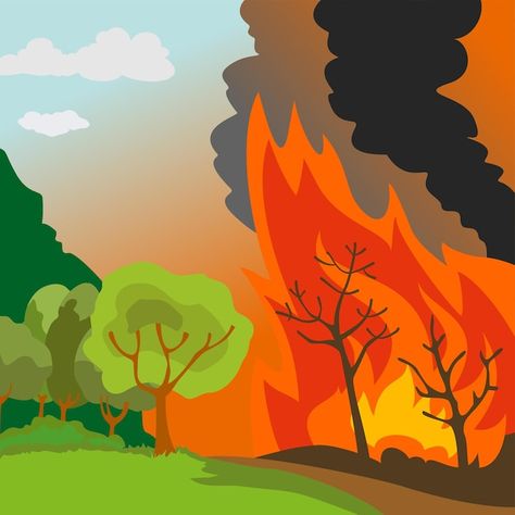 Deforestation Poster Drawing, Poster On Deforestation, Forest Conservation Poster Drawing, Natural Disasters Illustration, Forest Fire Illustration, Natural Disasters Art, Burning Forest Illustration, Fire Illustration, Environment Protection