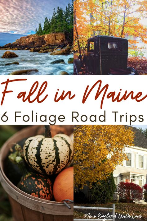 Fall In Maine, Fall New England, Maine Aesthetic, Rangeley Maine, Maine Fall, Portland Maine Travel, Fall Foliage Road Trips, Maine In The Fall, Maine Road Trip