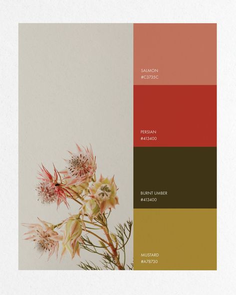 Spring color palettes always makes me so happy. I would love to know which one is your favorite ✨ Also, can you believe it's already almost the end of April? . . . #springcolors #springtime #minimalstyle #modernbranding #minimalbranding #luxurybranding #visualidentity #femaledesigner #highendbrands #minimalaesthetic #neutralaesthetic #brandingservices #brandingstudio #branding101 Branding 101, Minimal Branding, Spring Color Palette, Minimal Aesthetic, Branding Services, Which One Are You, Modern Branding, Logo Branding Identity, Spring Colors