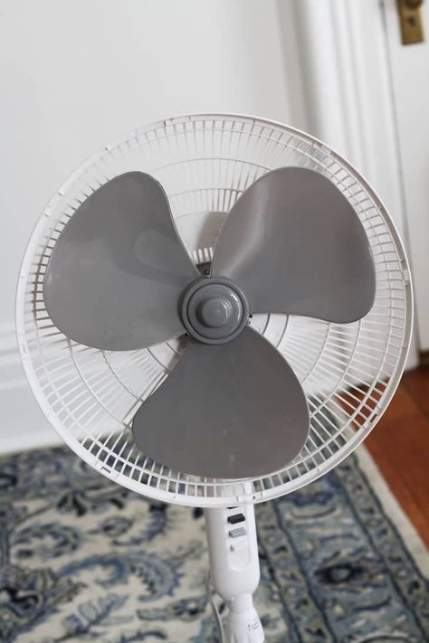 How To Clean a Fan | Apartment Therapy How To Clean Fans, Cleaning Fabric, Indoor Fans, Standing Fans, Floor Fans, Pedestal Fan, Homemade Cleaning Solutions, Diy Plumbing, Cotton Swabs