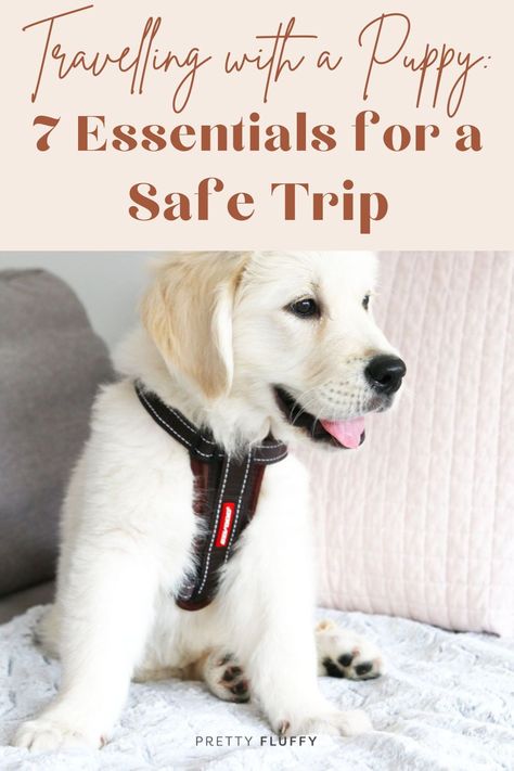 Travelling with a Puppy: 7 Essentials for a Safe Trip. Find puppy travel tips & more at prettyfluffy.com. Traveling With Puppy Road Trips, Puppy Travel Bag Packing Lists, Dog Car Essentials, Puppy Travel Essentials, Puppy Essentials Products, Puppy Travel Bag, Berry Ideas, Puppy Essentials, Puppy Tips