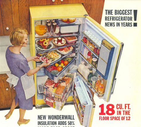 . Big Refrigerator, Roger Wilkerson, Eating Room, Vintage Kitchen Appliances, Retro Kitchens, Retro Appliances, Kitchen Retro, Living Tv, Ge Refrigerator