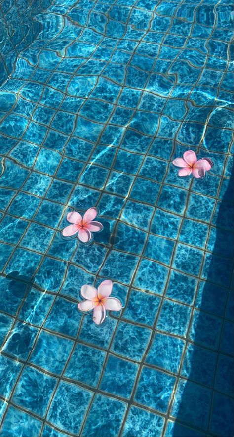 Cute Summer Wallpapers, Water Aesthetic, Flowery Wallpaper, Whatsapp Wallpaper, Mood Wallpaper, Wallpaper Iphone Disney, Iphone Wallpaper Vintage, Aesthetic Photography Nature, Summer Wallpaper