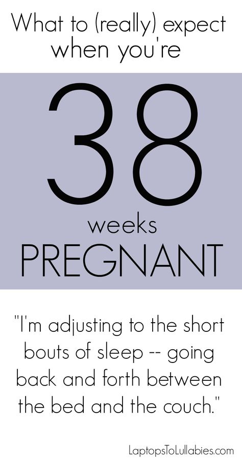 40 Weeks Pregnant Quotes, 3 Weeks Pregnant, 37 Weeks Pregnant Quotes, Labor Symptoms, 34 Weeks Pregnant Quotes, 39 Weeks Pregnant Humor, Pregnancy Weeks, 38 Weeks Pregnant Humor, 15 Weeks Pregnant Facts