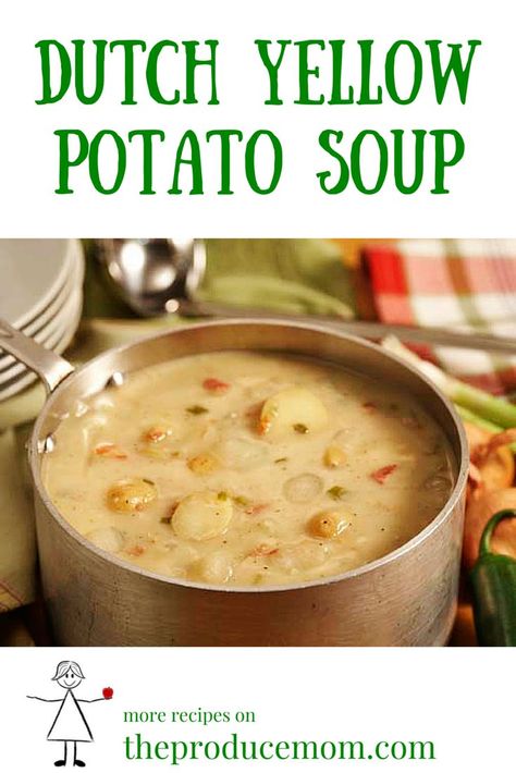 Soup Recipes Potato, Healthy Potato Soup, Lavender Types, Homemade Potato Soup, Potatoes Chicken, Healthy Potato, Potato Bacon Soup, Recipe Potato, Gold Potatoes