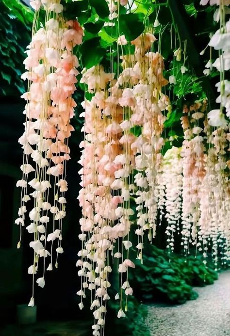 ♔ Bégonias Pleureurs - Weeping Begonias Weeping Begonia, Desired House, Ethereal Flowers, Pretty Flowers Pictures, Fairy Garden Plants, Lily Of The Valley Flowers, Balcony Plants, Modern Flower Arrangements, Unusual Flowers