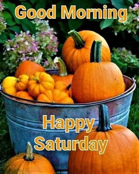 Good Morning Fall Images, Good Morning Fall, Saturday Morning Greetings, Good Morning Happy Weekend, Fall Greetings, Happy Saturday Quotes, Saturday Morning Quotes, Happy Saturday Morning, Happy Saturday Images