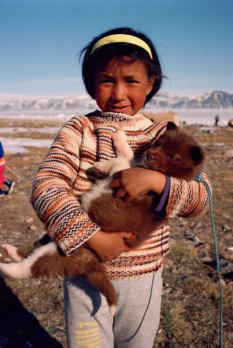 Greenland People, Husky Puppy, Native American Culture, I Love Dogs, Husky, Native American, Alexander, Cherry, Teddy Bear