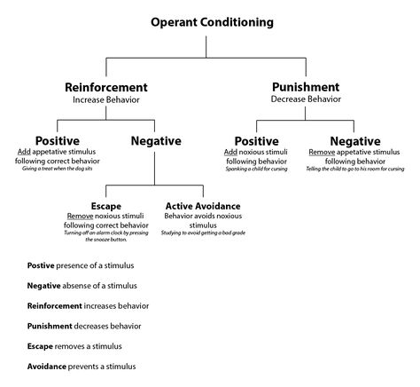 Bf Skinner, Lcsw Exam Prep, Social Work Theories, Lcsw Exam, Social Work Exam, Teaching Psychology, Ap Psychology, Operant Conditioning, Psychology Notes