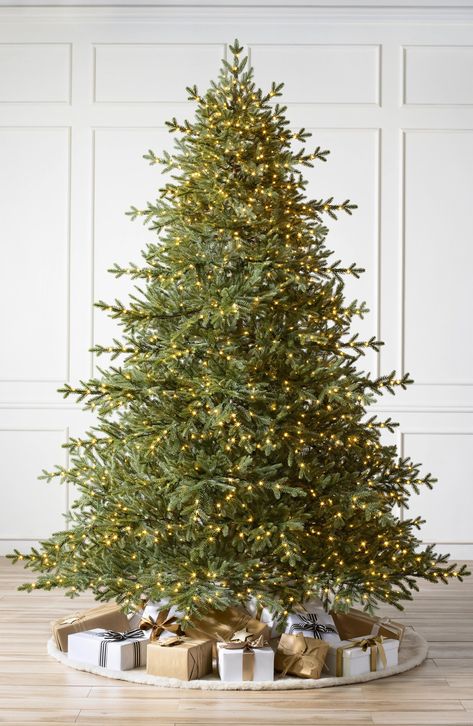 Celebrate the season with this stunning tree that's modeled after a classic Tennessee spruce. The scratch-proof rubber feet ensure it won't scratch your floors. Please complete your order by 2pm Pacific Standard Time on 12/14/24 for Christmas delivery Returns/exchanges accepted within 30 days of purchase or before December 25 (whichever comes first) 90" x 72" Polyethylene/PVC Imported 12 Ft Christmas Tree, Tennessee Mountains, Tennessee Christmas, Best Artificial Christmas Trees, Realistic Christmas Trees, Realistic Artificial Christmas Trees, Fake Christmas Trees, Faux Christmas Trees, Christmas Tree Sale