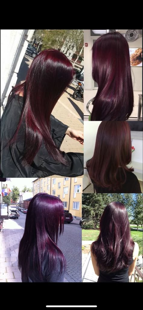 Purple Over Black Hair, Dark Red And Dark Purple Hair, Dark Wine Purple Hair, Cherry Red And Purple Hair, Dark Vampire Red Hair, Dark Redish Purpleish Hair, Blackberry Red Hair, Maroon Violet Hair, Dark Purple On Black Hair