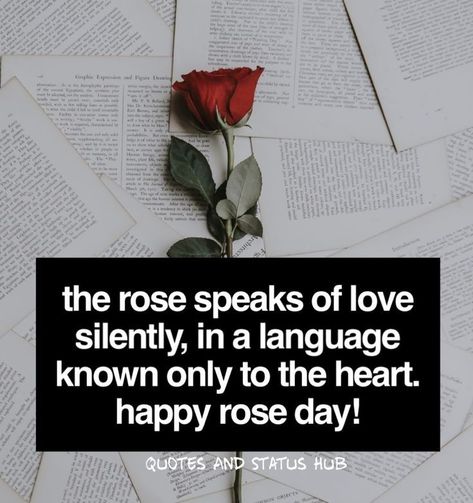 Valentine Day Week List, Happy Valentines Day Quotes For Him, Happy Rose Day, Valentine Week, Valentines Day Quotes For Him, Valentine Day Week, Happy Valentine Day Quotes, Week Quotes, For Whatsapp Status