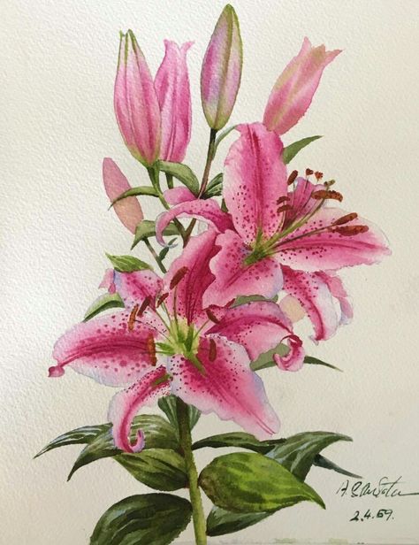 Pink Lilies, Lily Painting, Watercolor Flower Art, Cat Air, 수채화 그림, Watercolor Flowers Paintings, Botanical Painting, Botanical Watercolor, Flower Art Painting