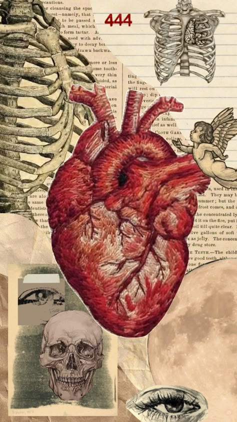 #moodboard #vintage #collage #aesthetic #red #hearts #heart #anatomy Anatomical Heart Art, Heart Diagram, Heart Collage, Medical Wallpaper, Heart Anatomy, Arte Punk, Heart Poster, Human Anatomy Art, Medical Anatomy