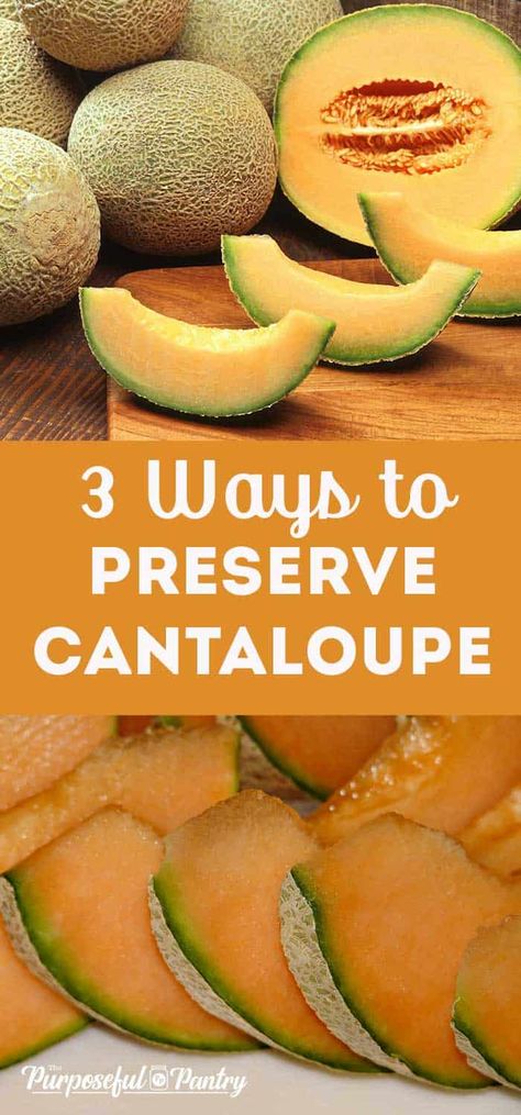 Here are three ways to preserve cantaloupe or muskmelon to add to your long-term food storage. Create tasty snacks your family will love, and keep that melony goodness all year long. How To Store Cantaloupe, Pickled Cantaloupe, Canning Melon Recipes, Cantaloupe Fruit Leather Recipe, Cantaloupe Canning Recipes, Preserving Melon, Dehydrated Melon, Canning Cantaloupe Recipes, Canned Cantaloupe