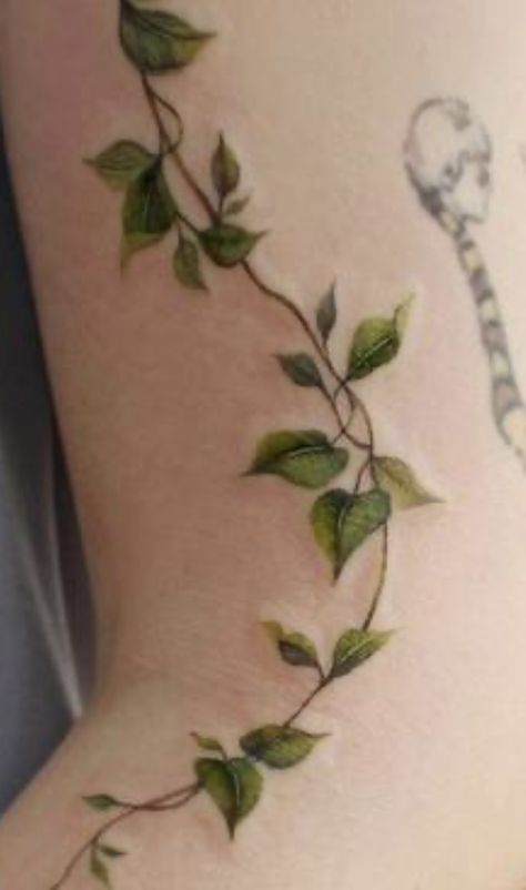 Ivy Back Tattoo, Poison Ivy Tattoo, Ivy Tattoo, Green Tattoos, Vine Tattoo, More Tattoo, Intricate Tattoo, Vine Tattoos, Ornamental Tattoo