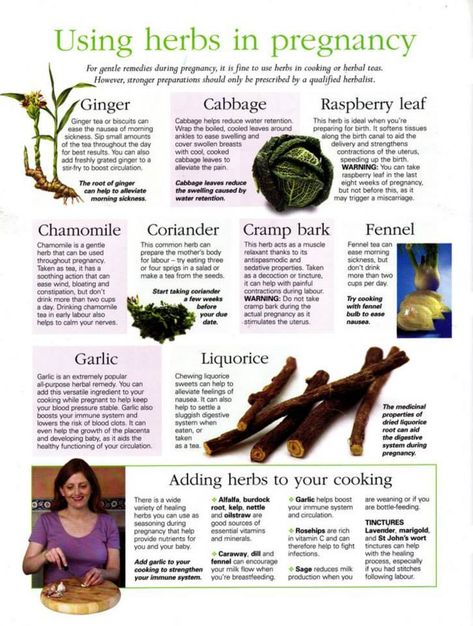 Herbs For Fertility Witchcraft, Herbs For The Womb, Herbs For Pregnant Women, Herbal Contraceptive, Natural Birth Control Herbs, Herbal Journal, Herbs For Women, Pregnancy Herbs, Holistic Pregnancy